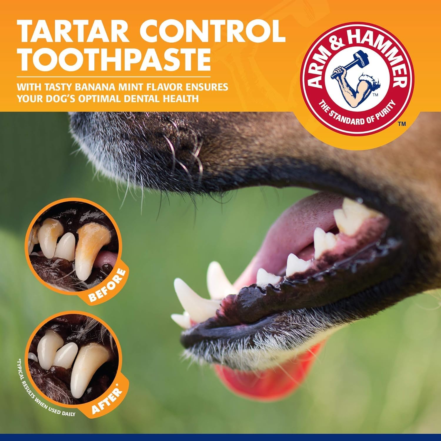 Arm & Hammer for Pets dental kit packaging highlights all-in-one solution.