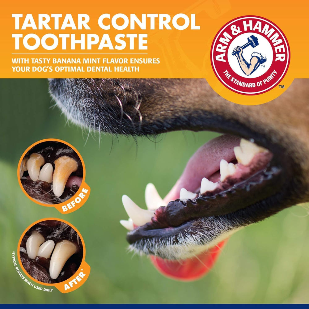 Arm & Hammer for Pets dental kit packaging highlights all-in-one solution.