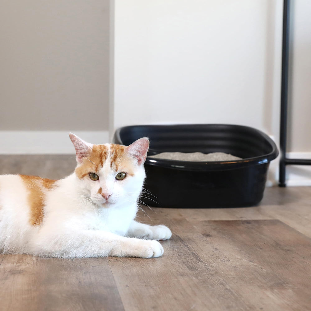 Arm & Hammer Simply Recycled Cat Litter Pan baking soda odor control feature.