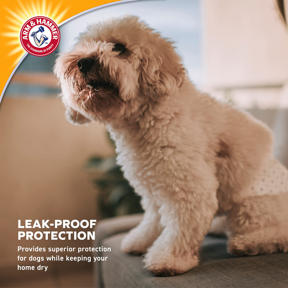 Arm & Hammer X-Small belly band fitting securely around the waist