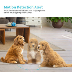 Armorcope night vision MagicPix shows pets clearly in dim light