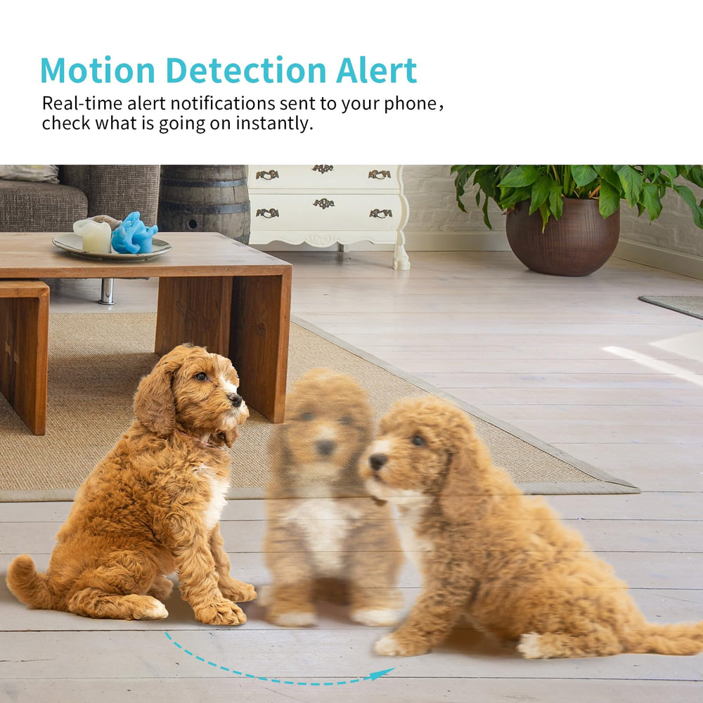 Armorcope two-way audio lets you speak to pets remotely