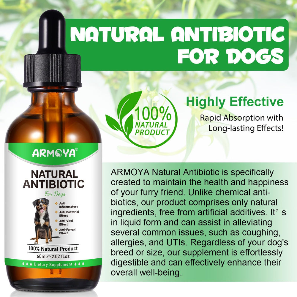 ARMOYA antibiotics routine use—simple daily steps for pet care.