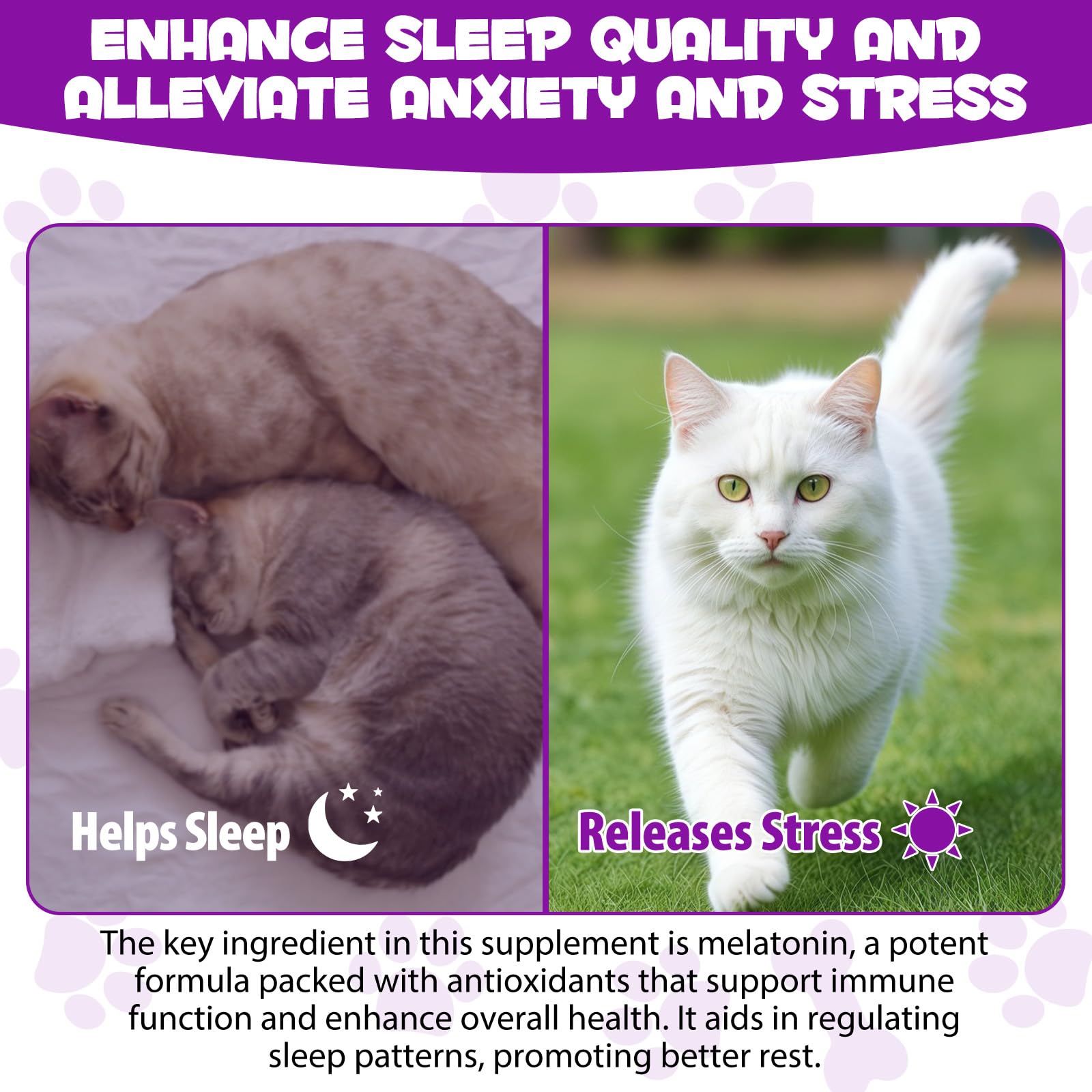 ARMOYA Cat Melatonin safe dosage suitable for all ages.