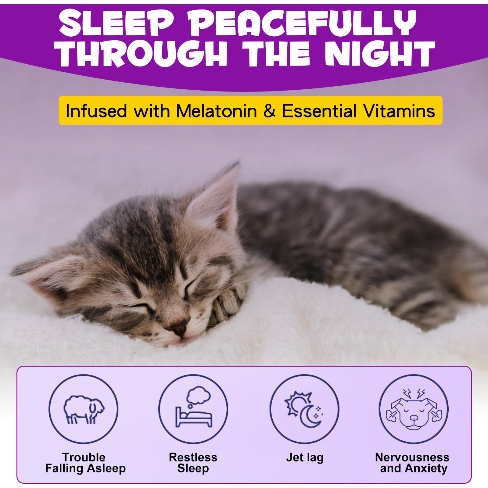 ARMOYA Cat Melatonin served with food for calmer evenings.