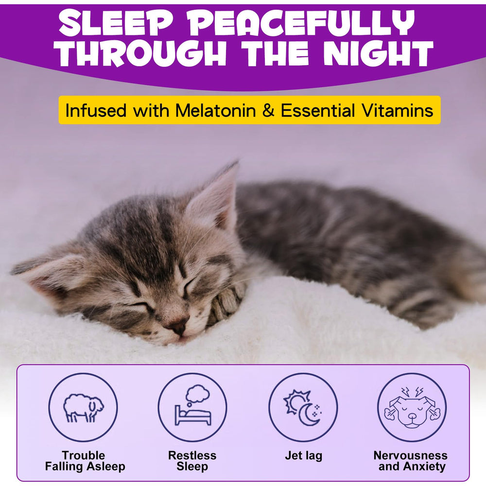 ARMOYA Cat Melatonin served with food for calmer evenings.