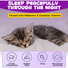 ARMOYA Cat Melatonin served with food for calmer evenings.