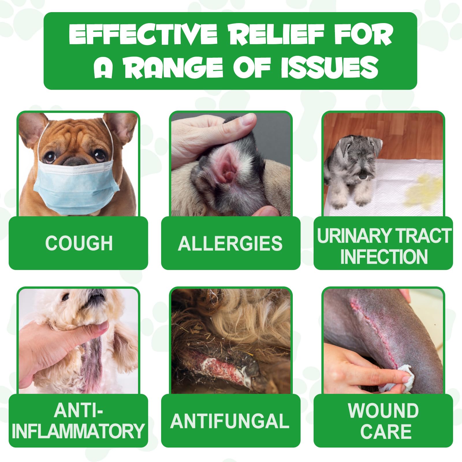 ARMOYA label closeup—transparent information supports safe use.