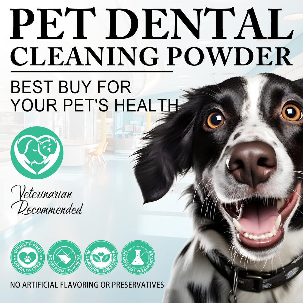 ARMOYA dog dental powder for all breeds emphasizes universal suitability.