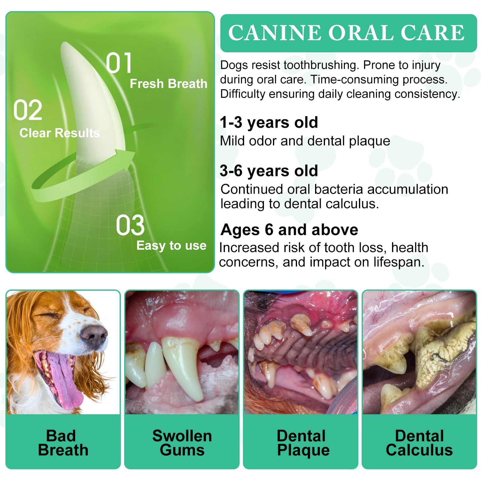 ARMOYA dog dental powder mixed with kibble for convenient daily care
