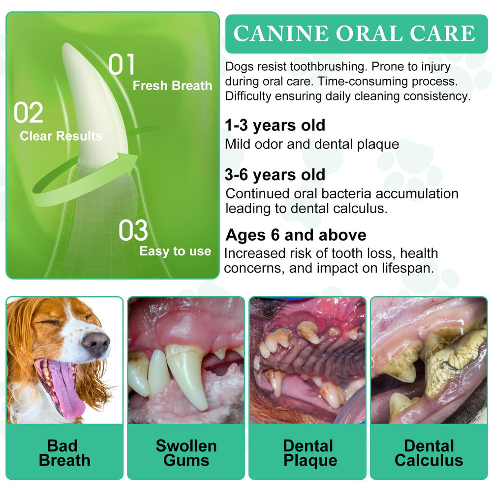 ARMOYA dog dental powder mixed with kibble for convenient daily care