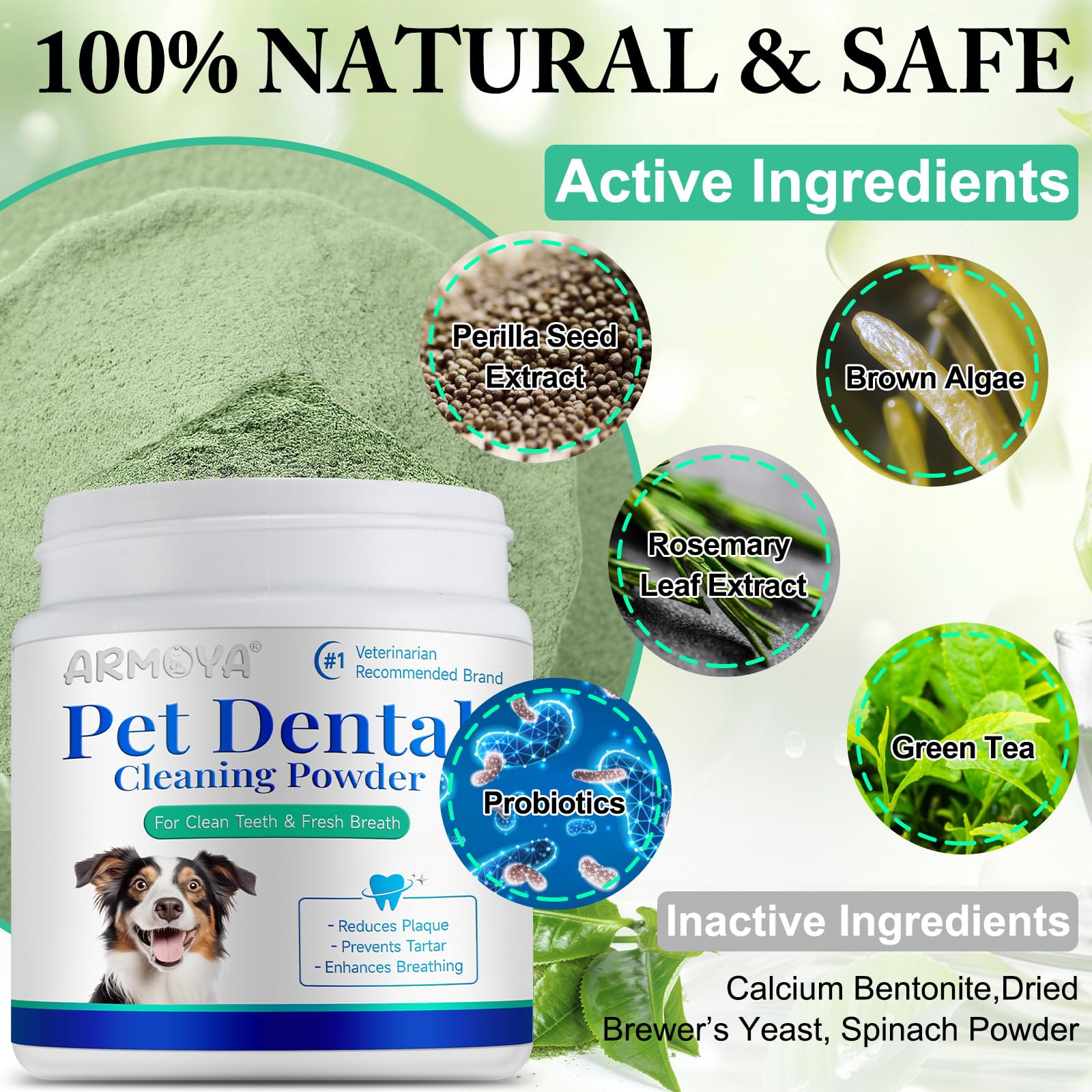 ARMOYA dog dental powder tub label close-up highlighting ingredients