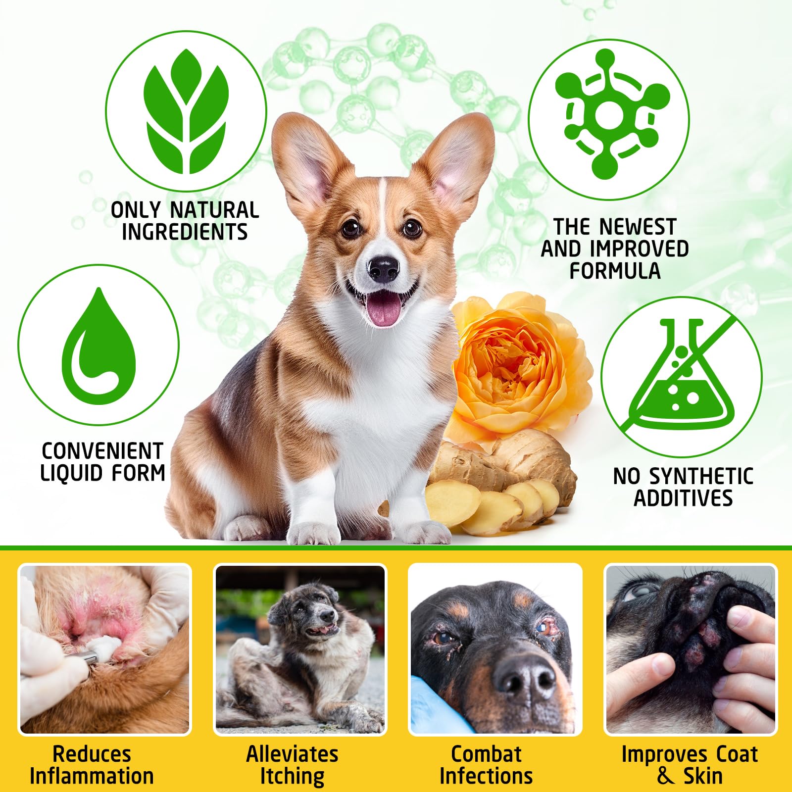 ARMOYA wellness tincture in use scene supports daily pet care.