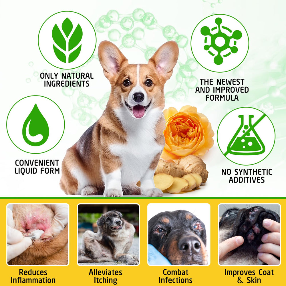 ARMOYA wellness tincture in use scene supports daily pet care.