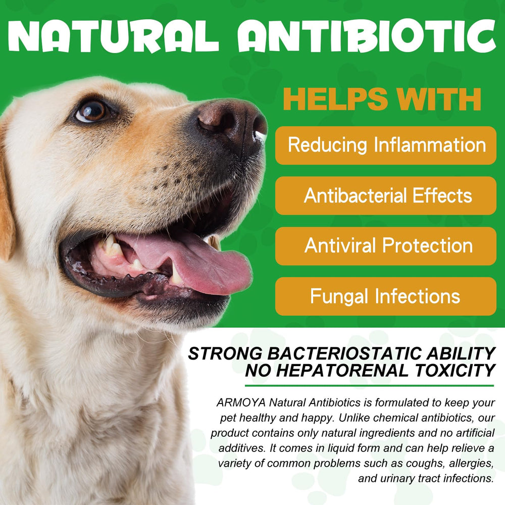 ARMOYA dog antibiotics dropper—precise dosing for daily administration.