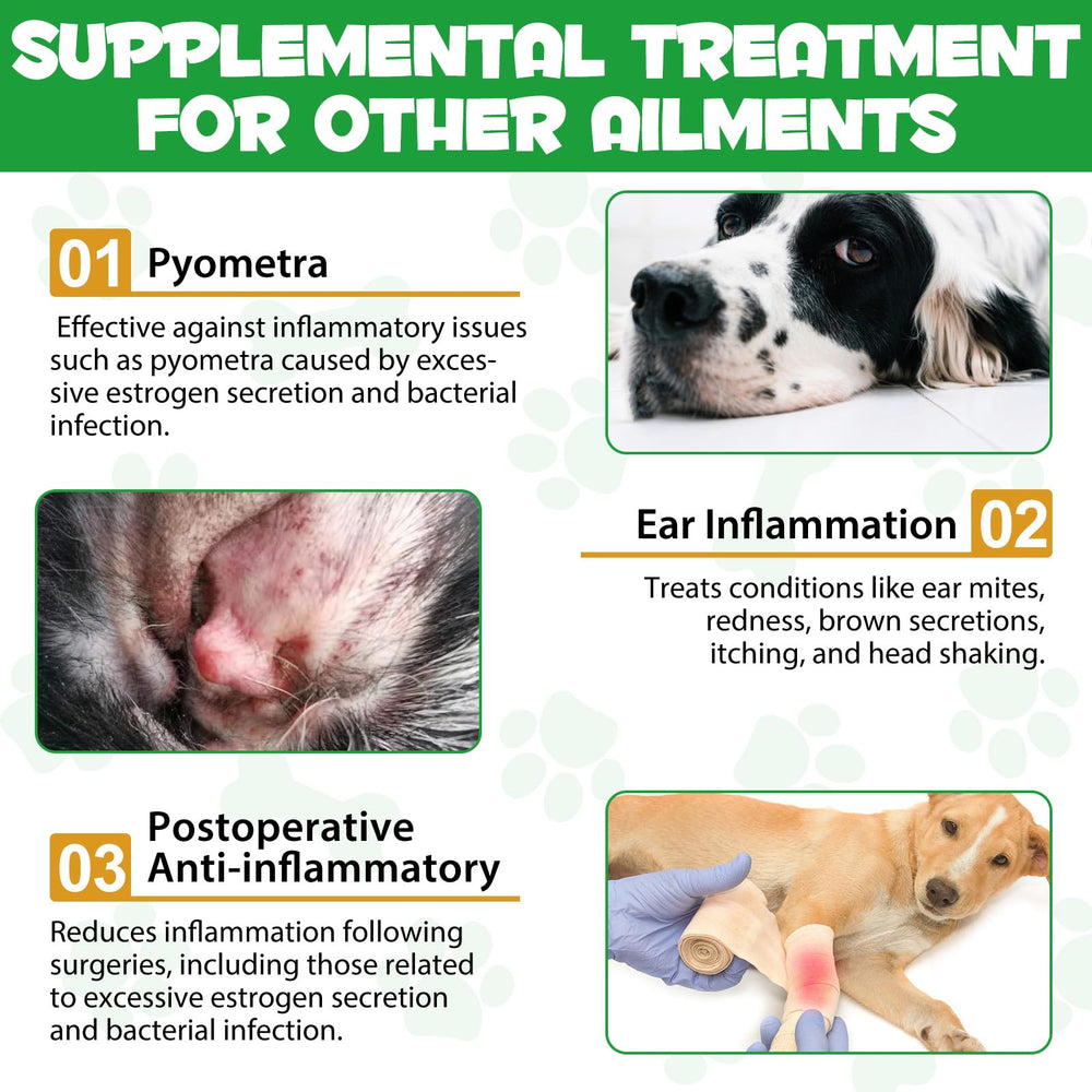 ARMOYA natural ingredients label—clear ingredients and benefits at a glance.
