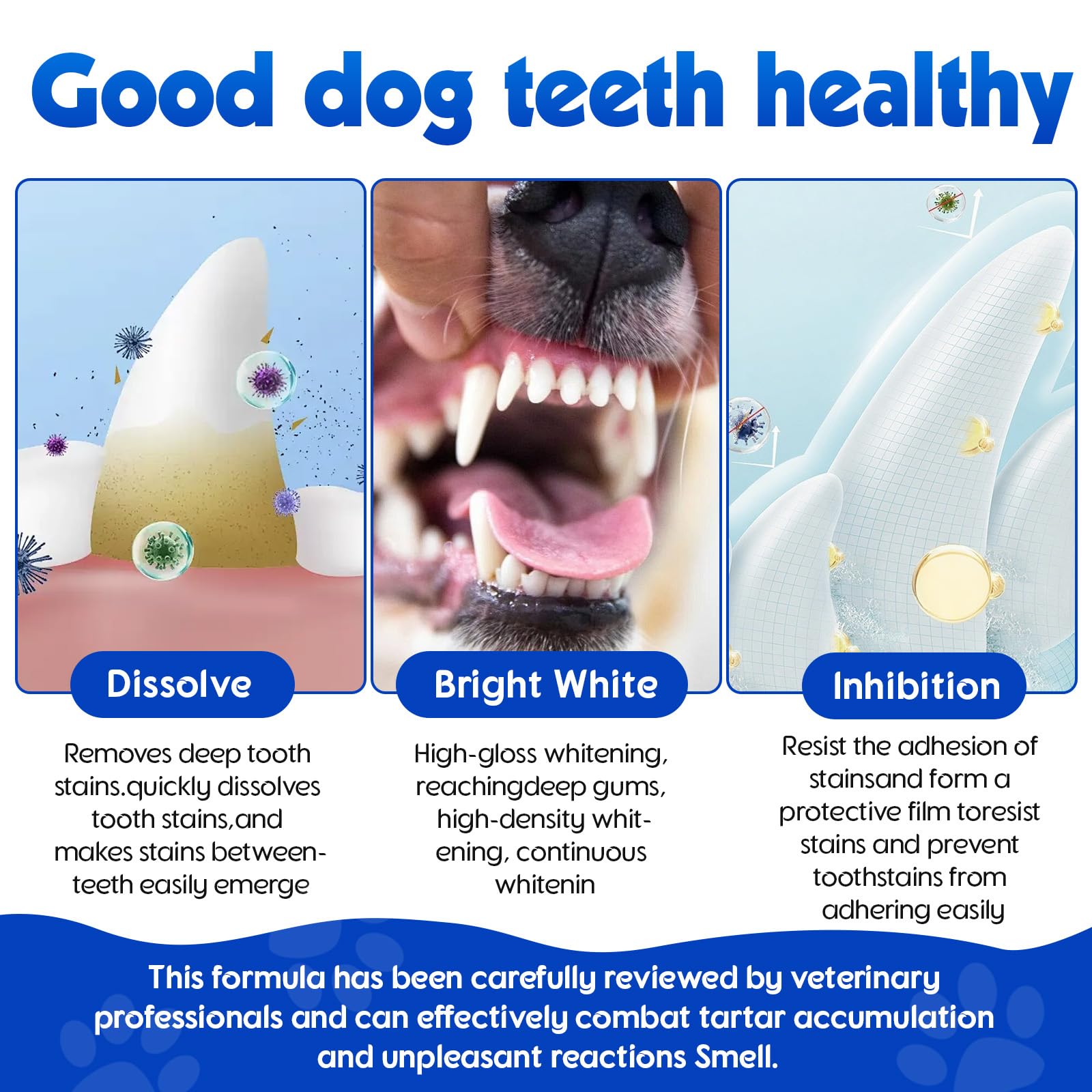 ARMOYA postbiotics included in dog dental care formula