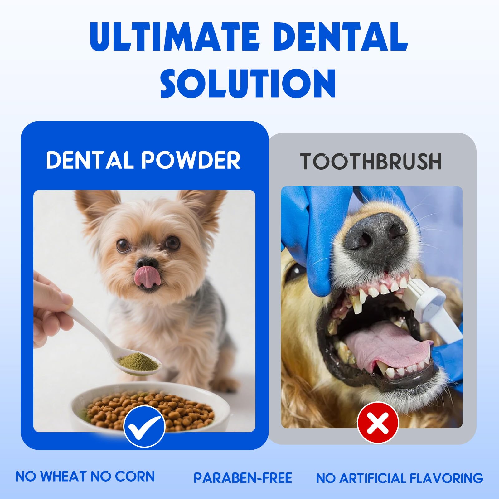 ARMOYA vet-certified dental powder designed by pet dentists