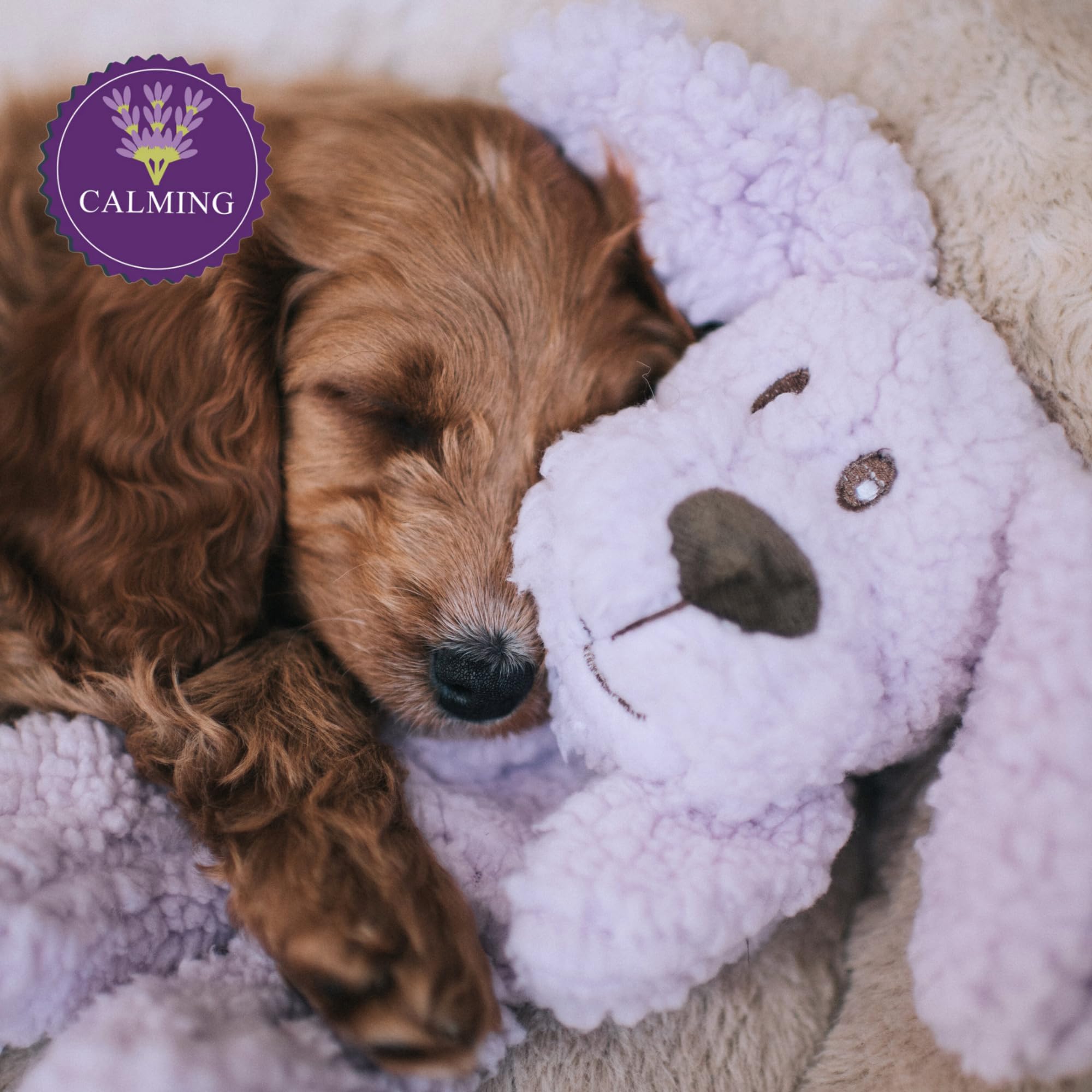 Aromadog calm toy releasing aroma during playtime to ease nerves