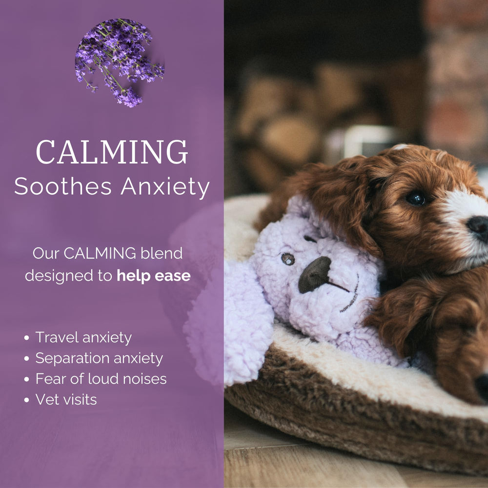 Close-up of Aromadog lavender blend aroma release during play