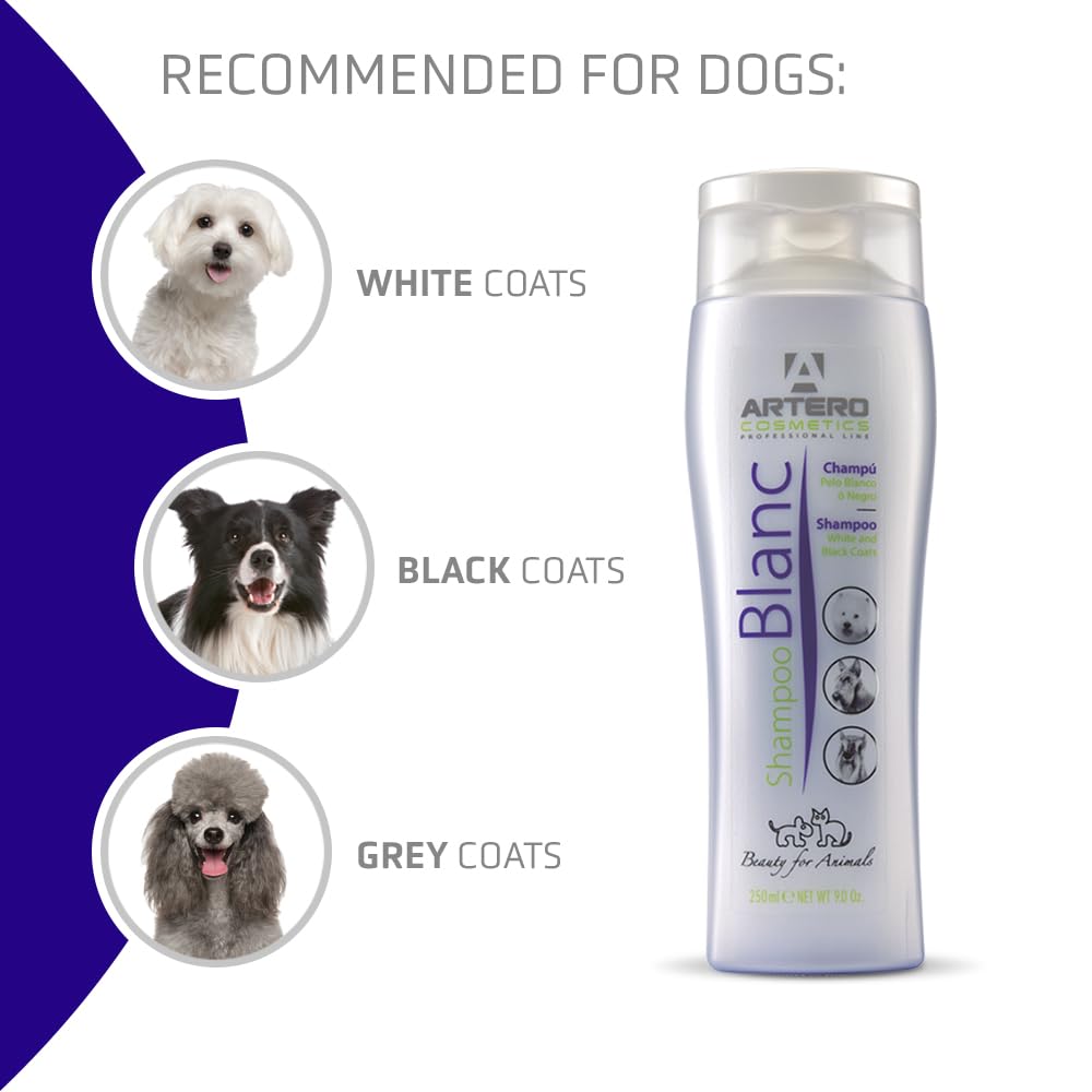 Artero Blanc applied to a dog's coat showing renewed brightness and healthy-looking fur