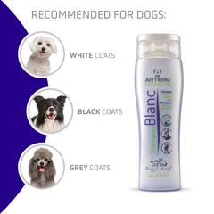 Artero Blanc applied to a dog's coat showing renewed brightness and healthy-looking fur