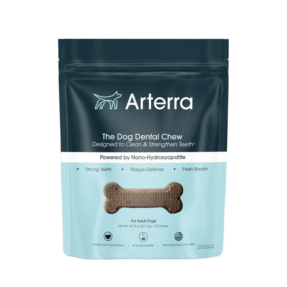 Arterra Dog Dental Chews pack front for daily oral care and enamel support.