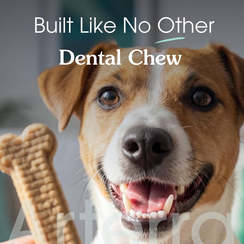 Arterra branding on chew packaging communicates enamel-friendly nano-hydroxyapatite benefits.