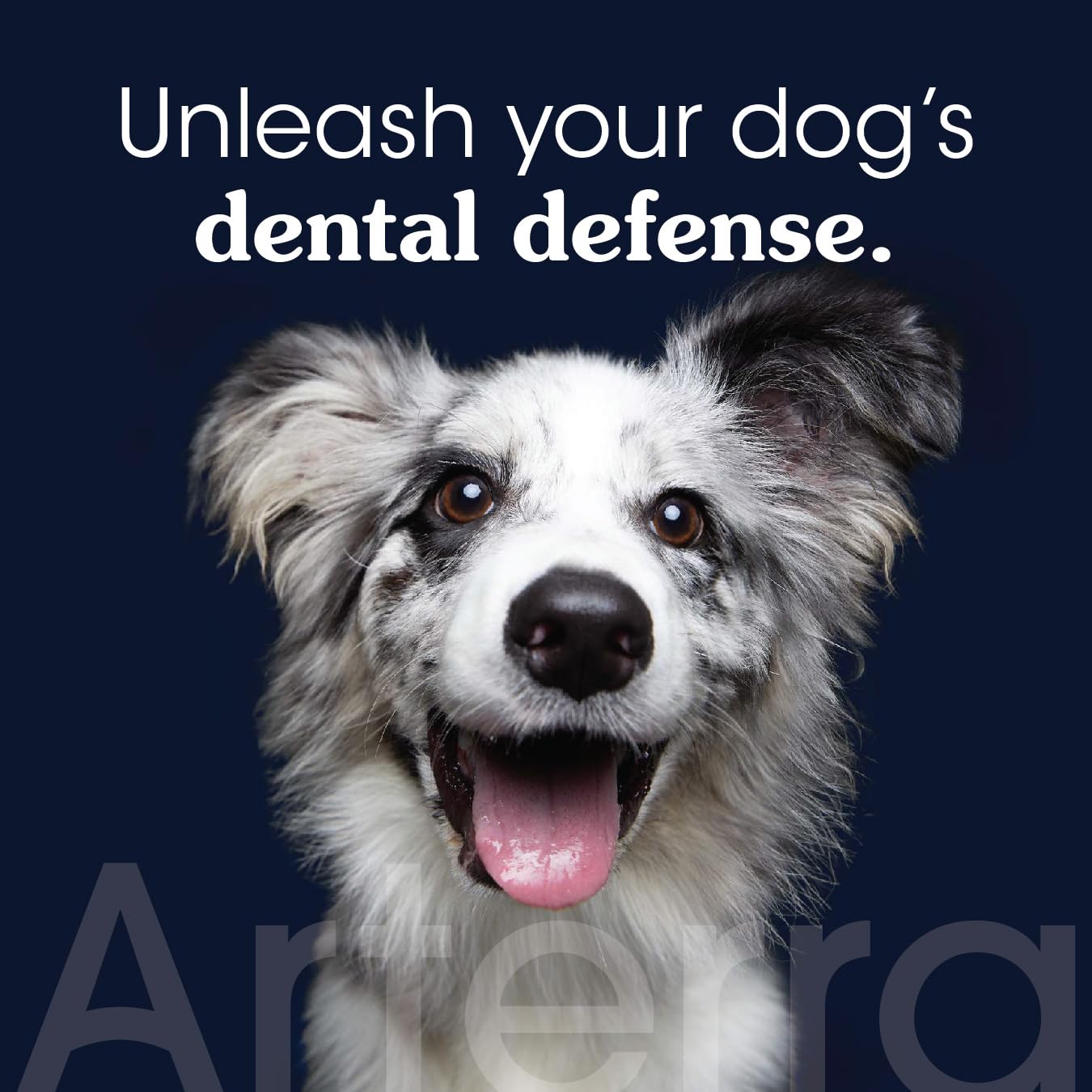 Arterra Remineralizing Dog Toothpaste ingredients panel shows plant-based, fluoride-free formula.