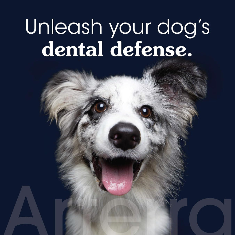 Arterra Remineralizing Dog Toothpaste ingredients panel shows plant-based, fluoride-free formula.