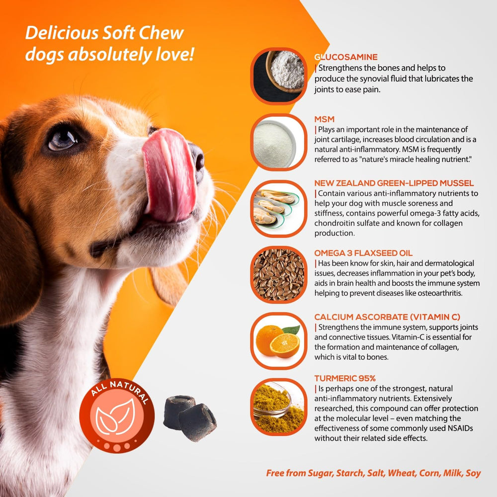 ArthriMAXX astaxanthin from AstaREAL signals anti-inflammatory potential for active dogs.