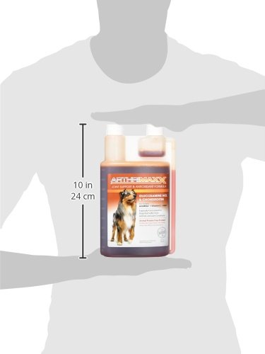ArthriMAXX astaxanthin ingredient highlight for antioxidant joint care.