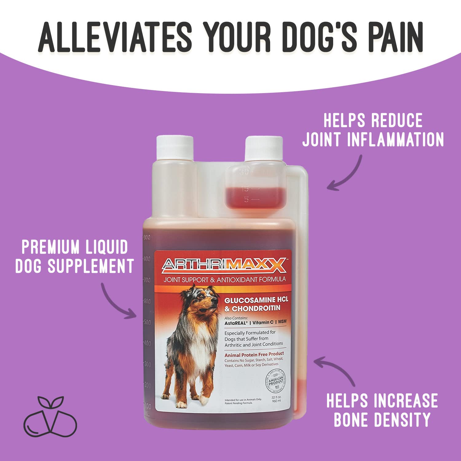 ArthriMAXX vitamin C MSM aloe blend promoting joint wellness in dogs.