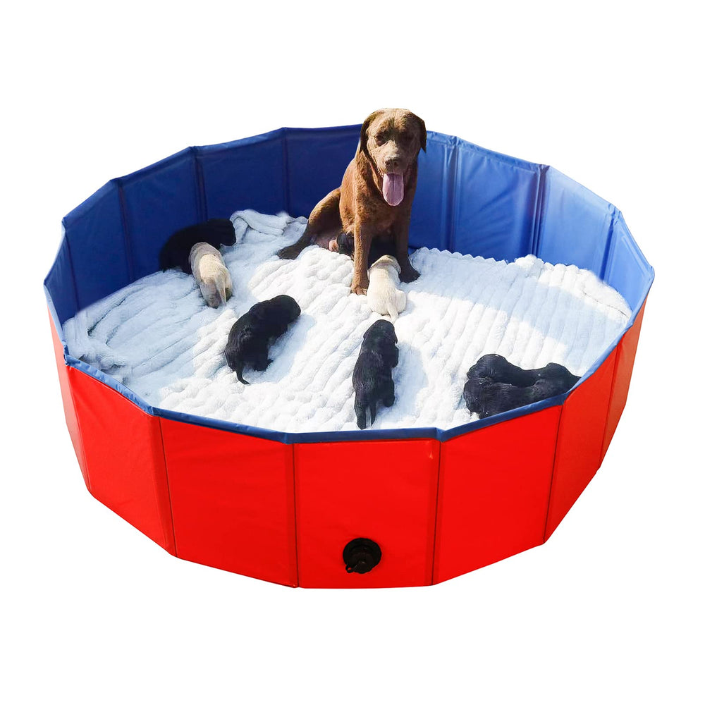 Artilife foldable dog bath pool ready for quick setup during outdoor bath sessions