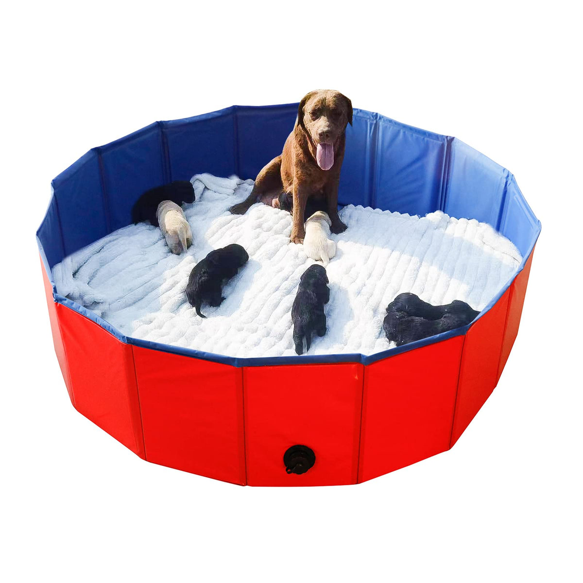 Artilife foldable dog bath pool ready for quick setup during outdoor bath sessions