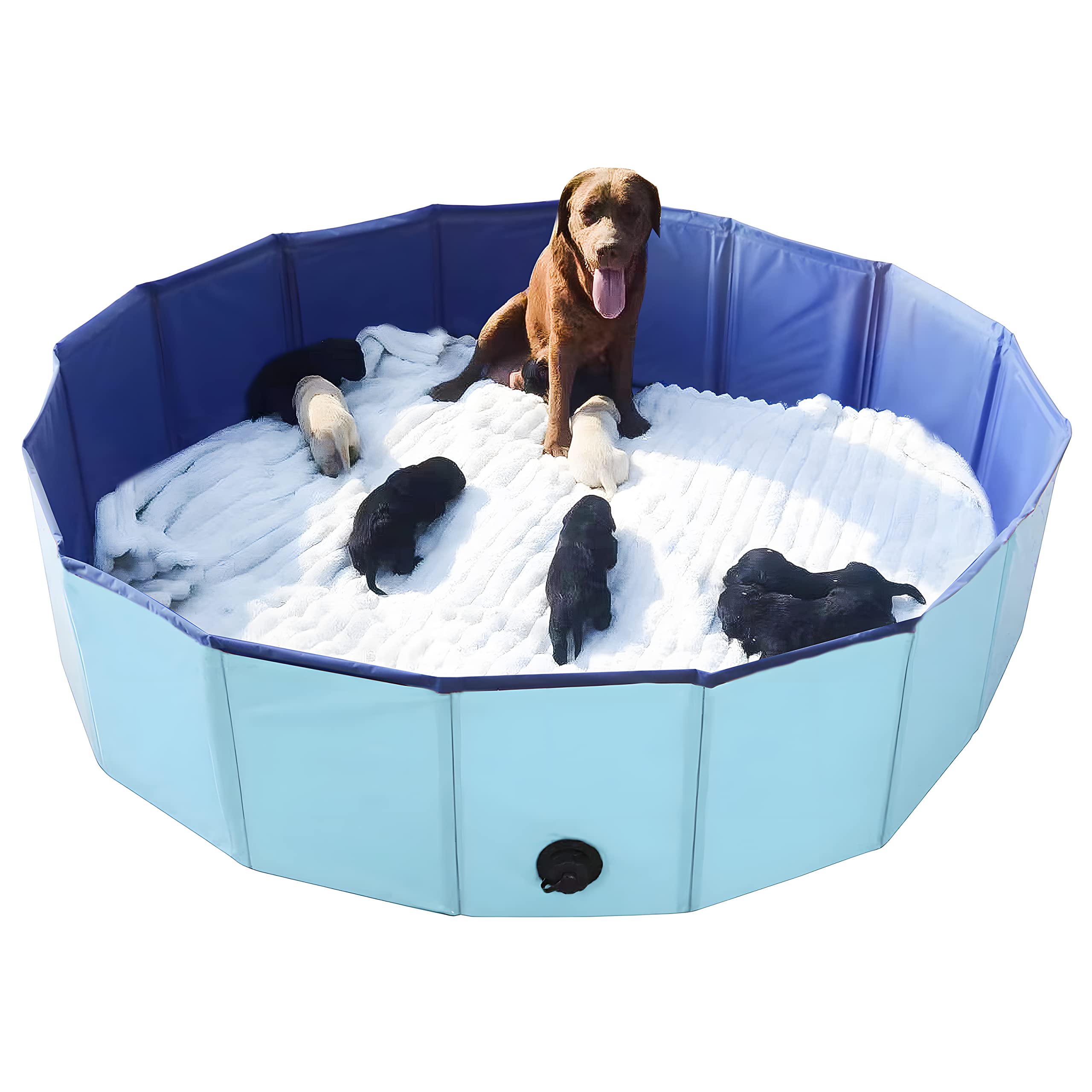 Artilife Whelping Box dog pool blue offers safe space for whelping