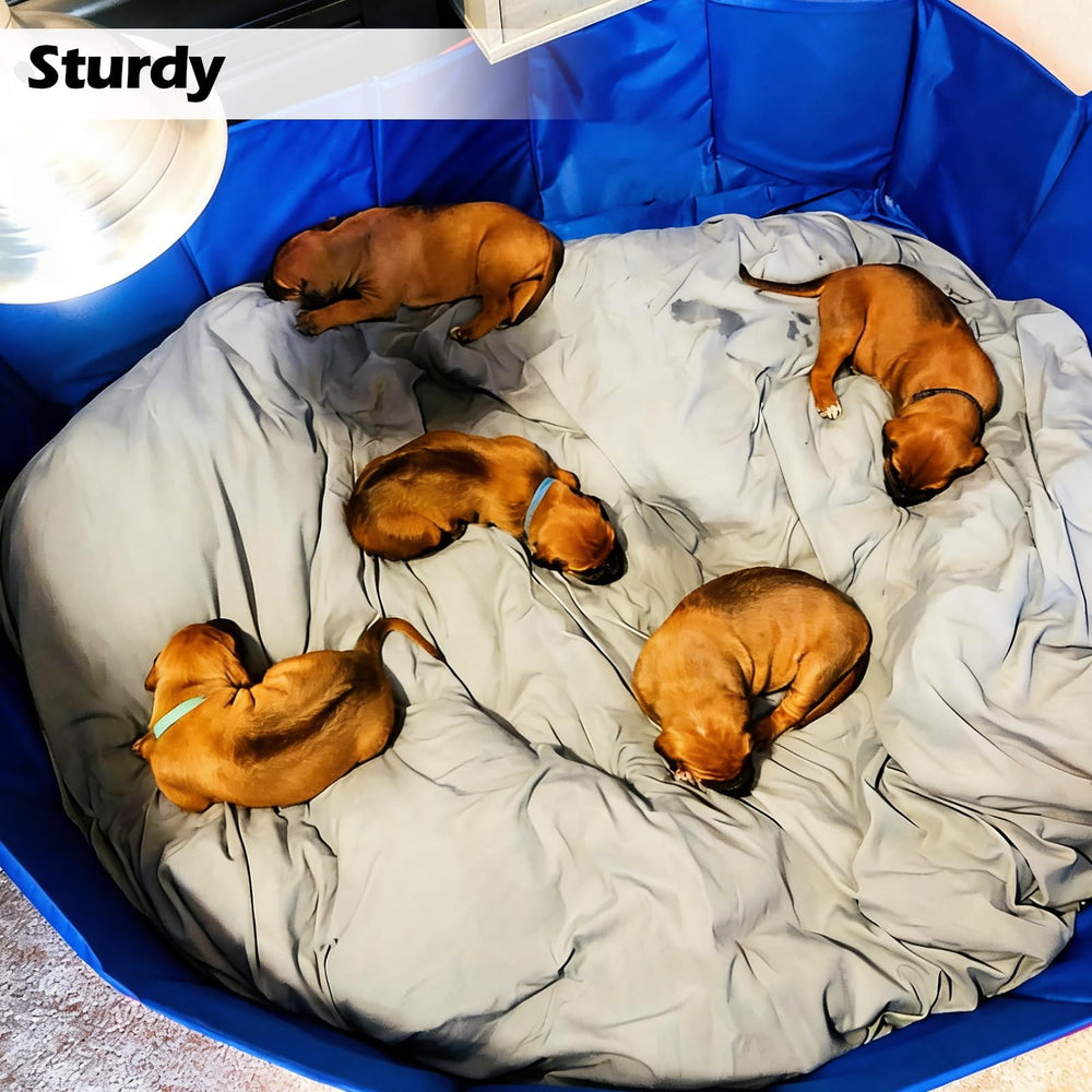Artilife blue whelping bed easy to clean after use