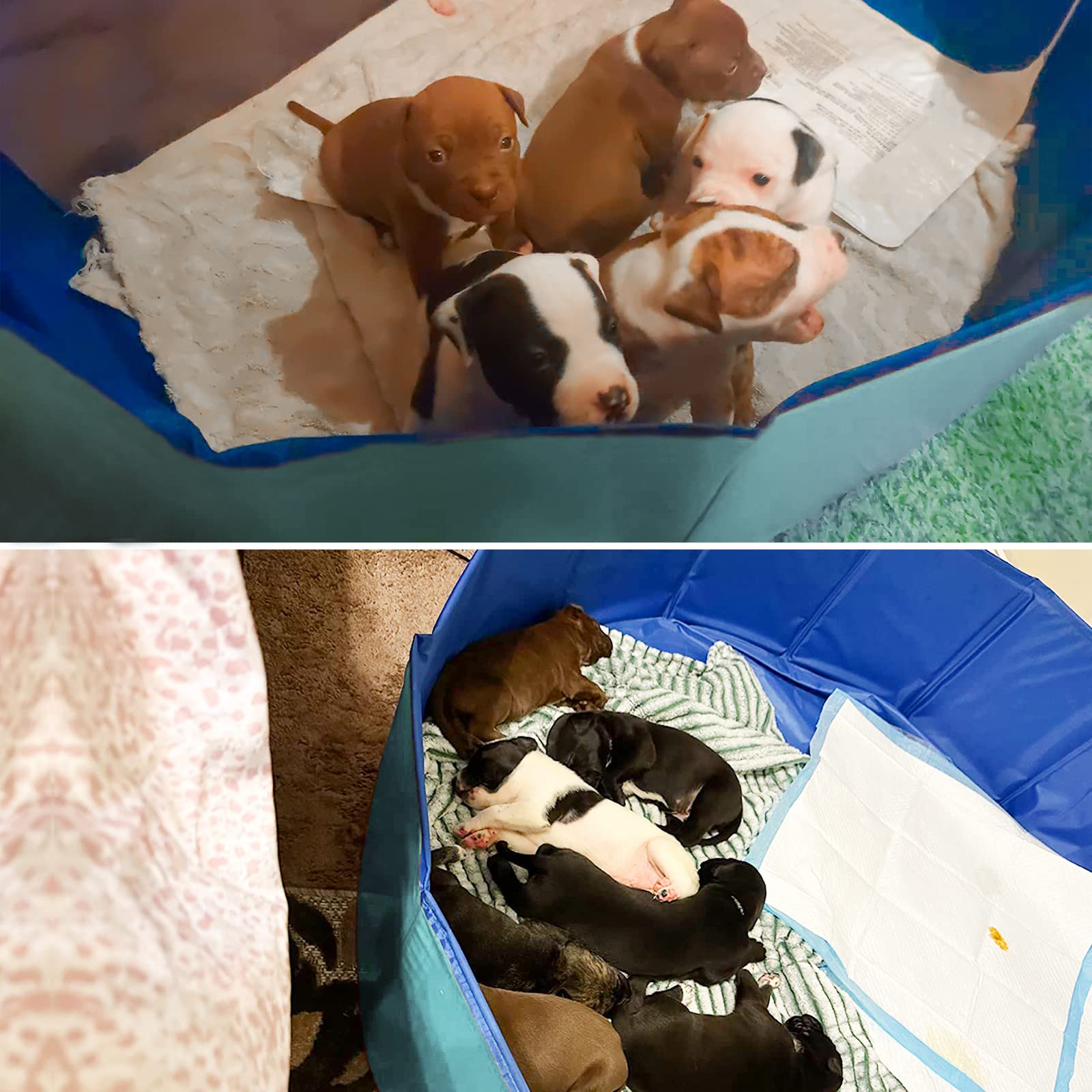 Puppy pen doubles as bath or play area