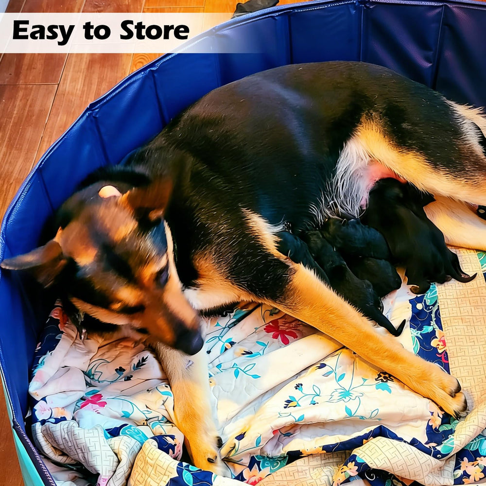 Artilife whelping pool doubles as bath or ball pit for dogs