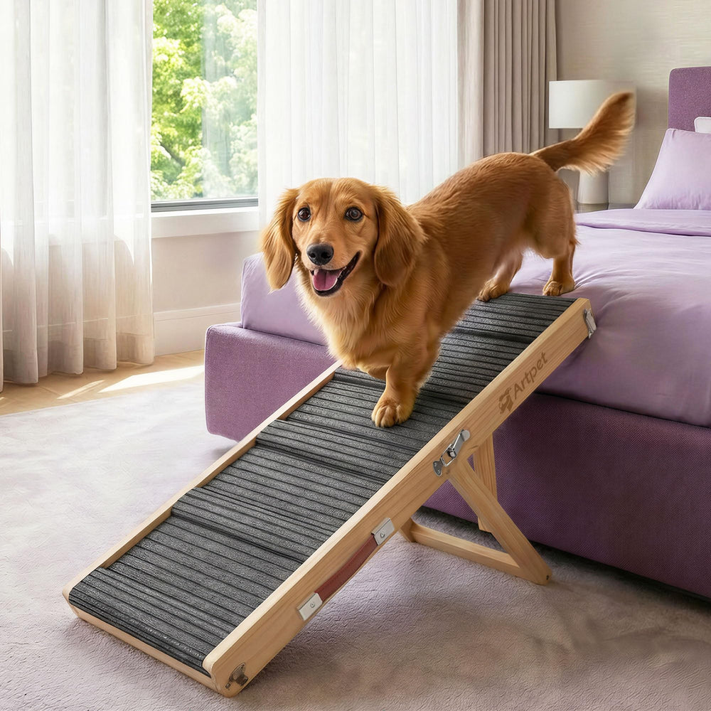 Artpet dog ramp with adjustable height improves couch access for small dogs.