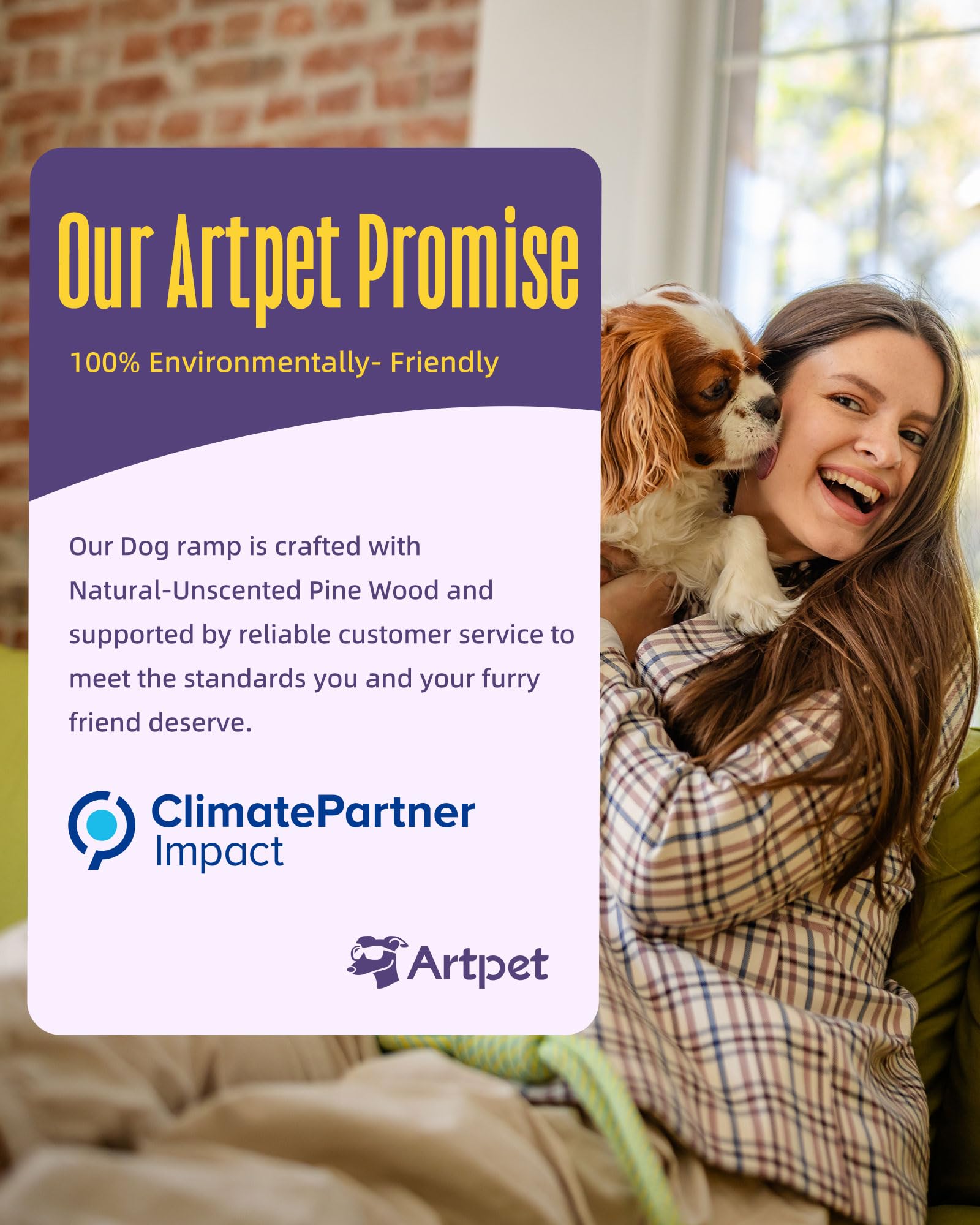 Artpet dog ramp ideal for seniors or recovering pets needing furniture access.