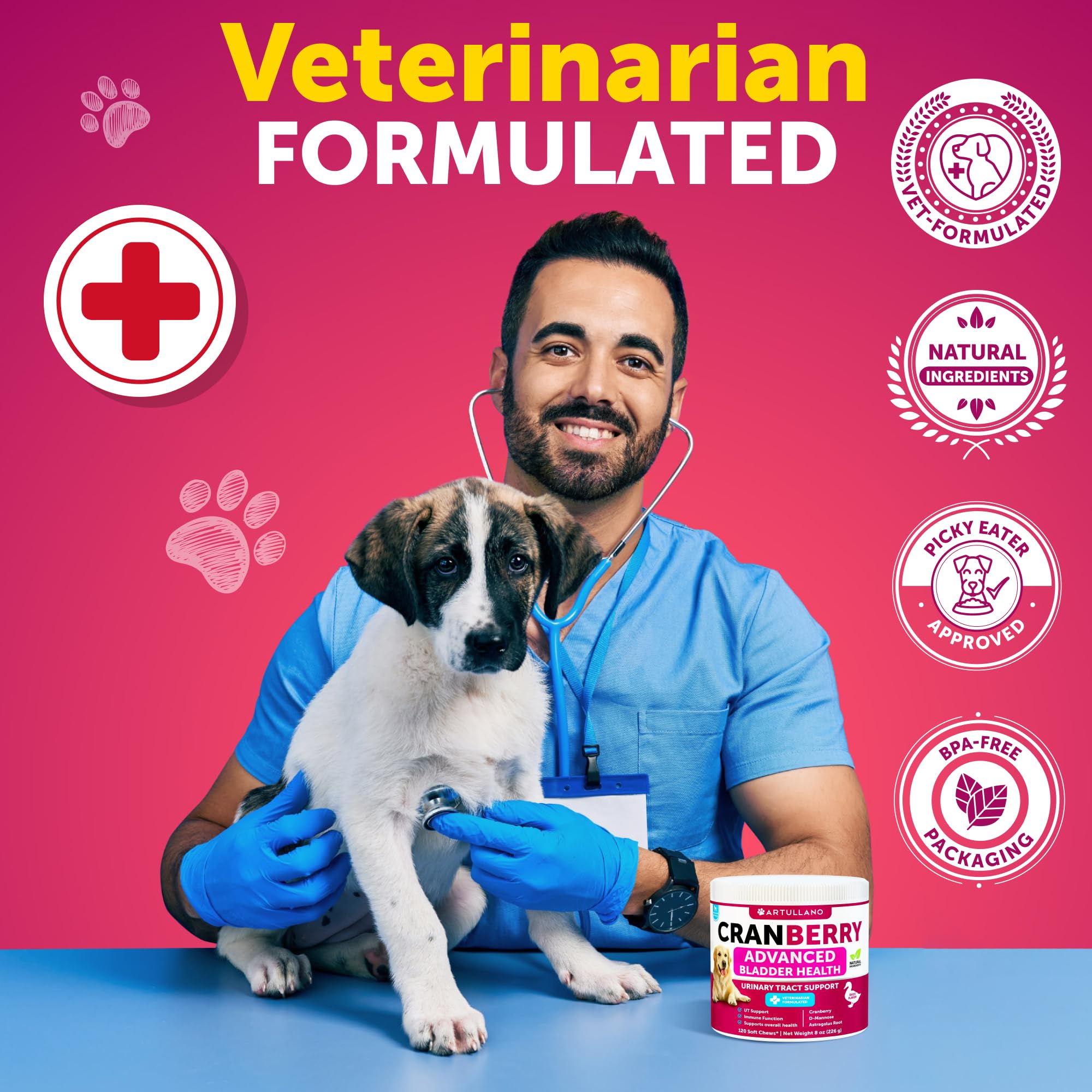 Artullano 2-pack cranberry dog chews for urinary support while traveling
