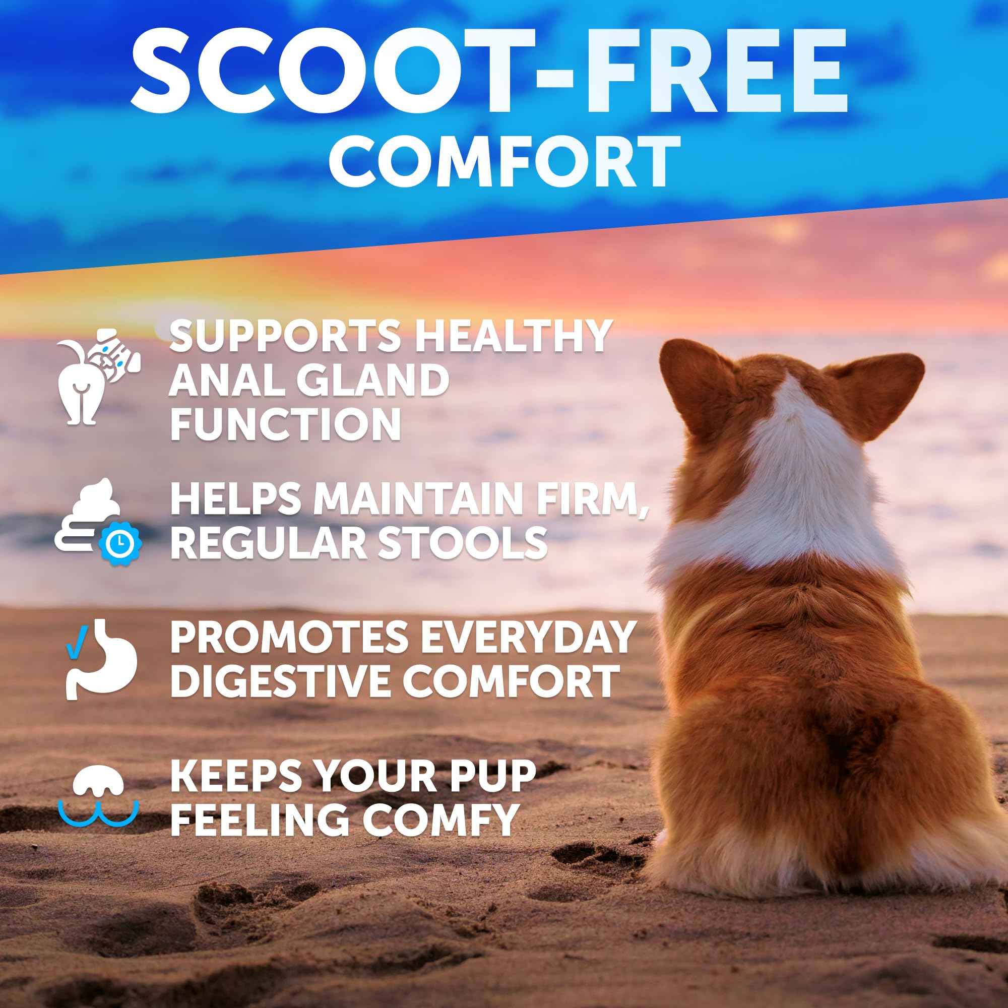 Artullano Bye Scoot chews closeup highlighting fiber blend for gut-friendly daily use.
