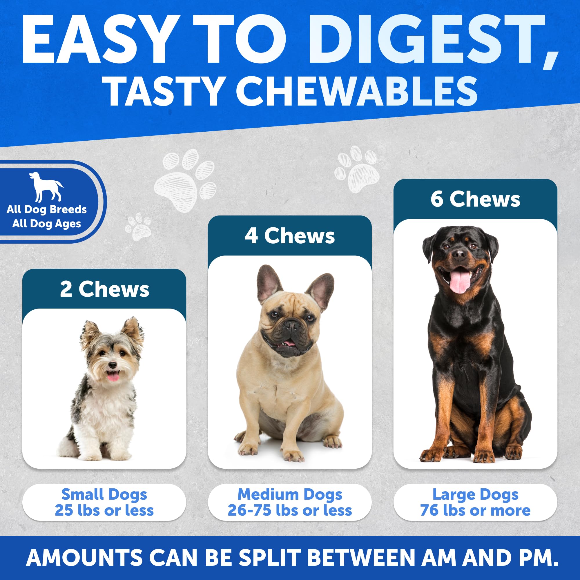 Artullano Bye Scoot dog enjoying serving illustrates daily routine use.