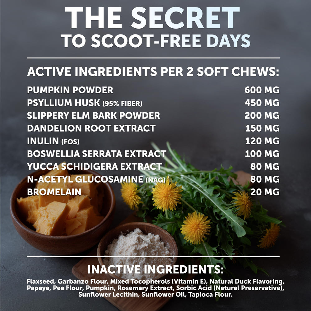 Artullano Bye Scoot psyllium husk depiction emphasizes texture and fiber benefits.
