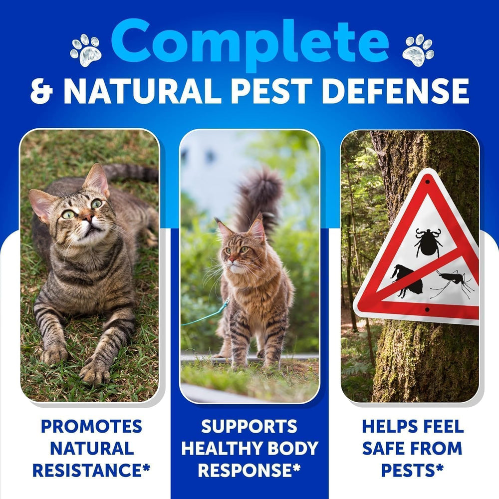Artullano Cat Flea Chews daily-dose portion ready for easy administration