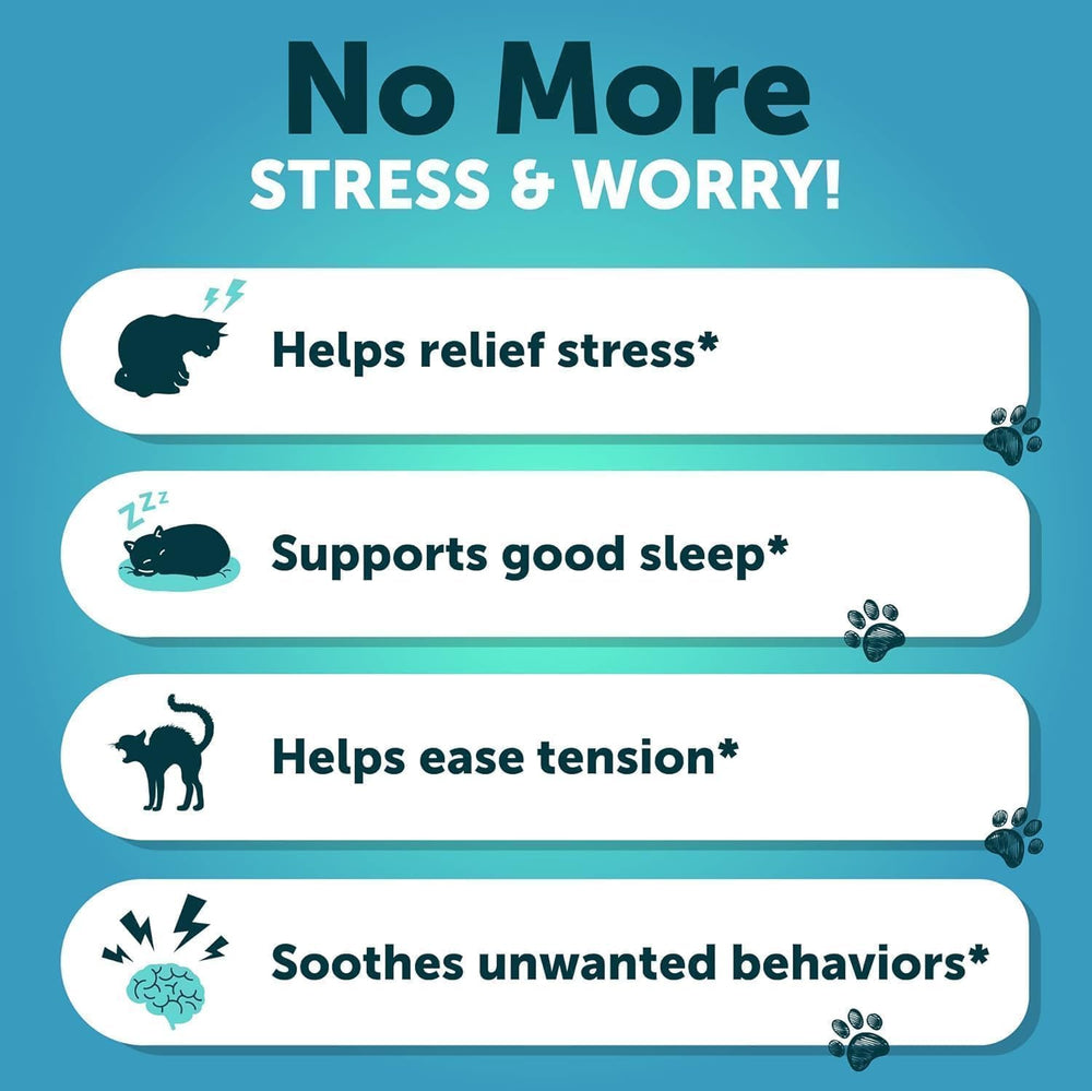 Artullano cat travel care visuals suggesting calmer journeys during vet visits.