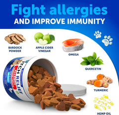 Artullano Dog Allergy Relief Chews bottle pack, 120-count bottle for routine.