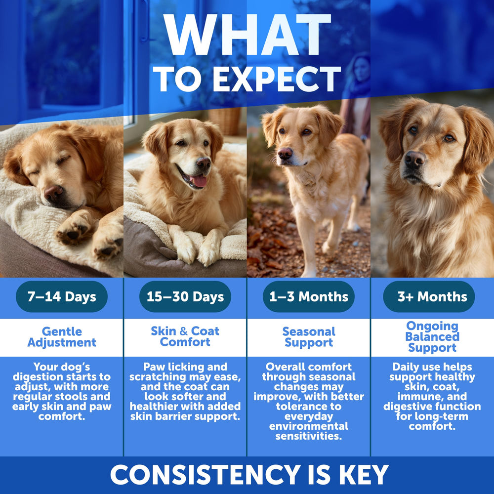 Artullano dog allergy chews promote coat shine with regular use.