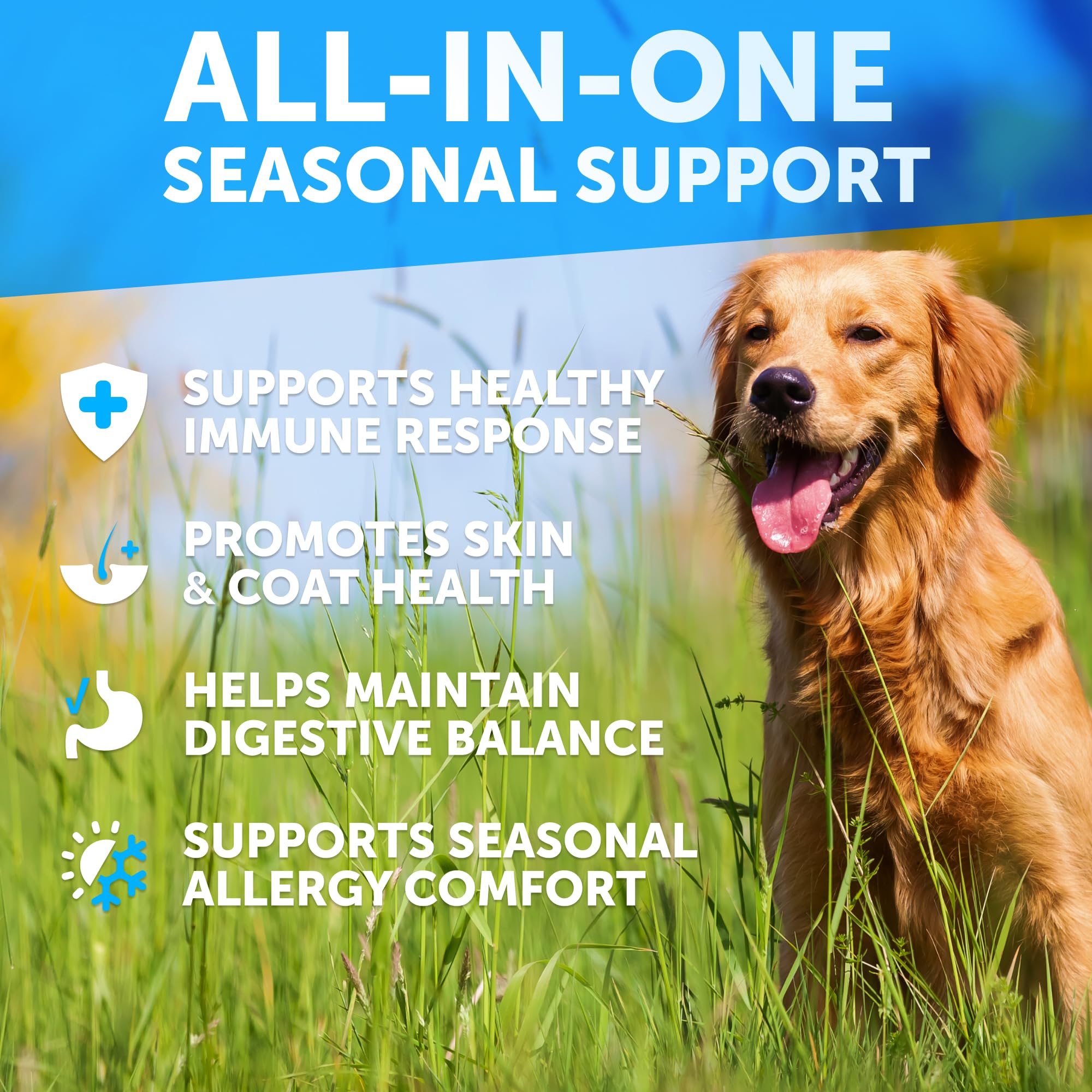 Artullano dog allergy chews soft treats showing an easy-to-chew texture.
